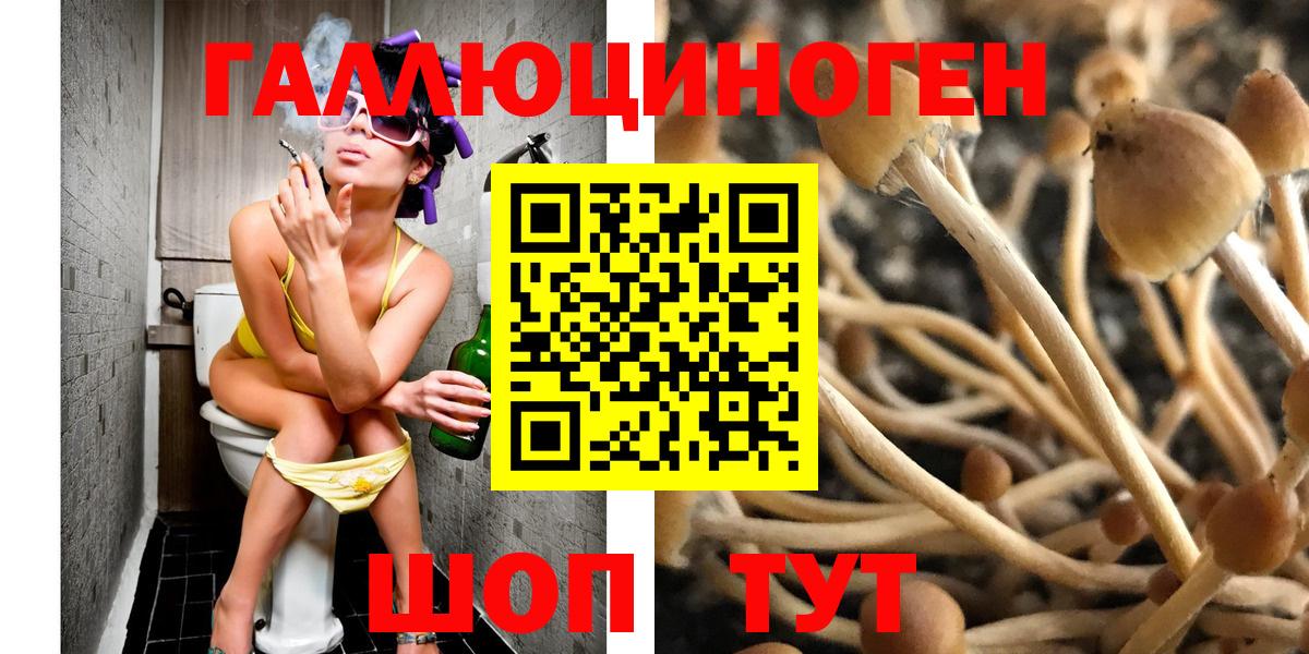 где купить наркоту  Псилоцибиновые грибы ЛСД  Вход с VPN  Кирово-Чепецк 